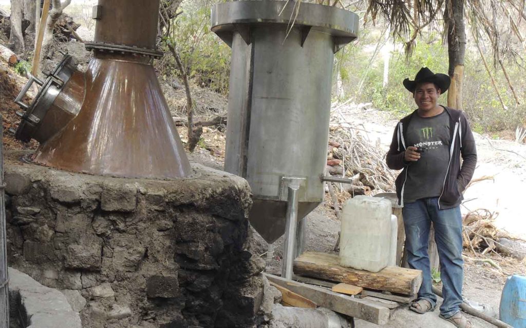 artisanal_mezcal_ensambles_ejutla