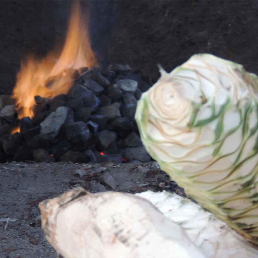 pit_stone_agave_cooking_casta_tribal_ensambles
