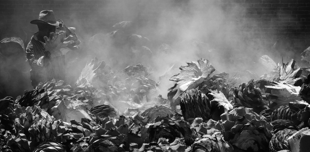 Artisanal_Mezcal_Process