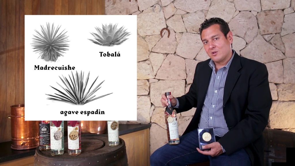 ensamble 103 tobala masrecuishe and espadin tasting notes