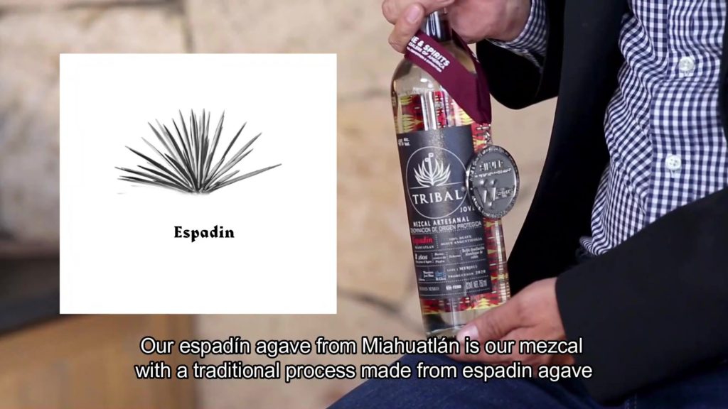 artisanal mezcal espadin from oaxaca